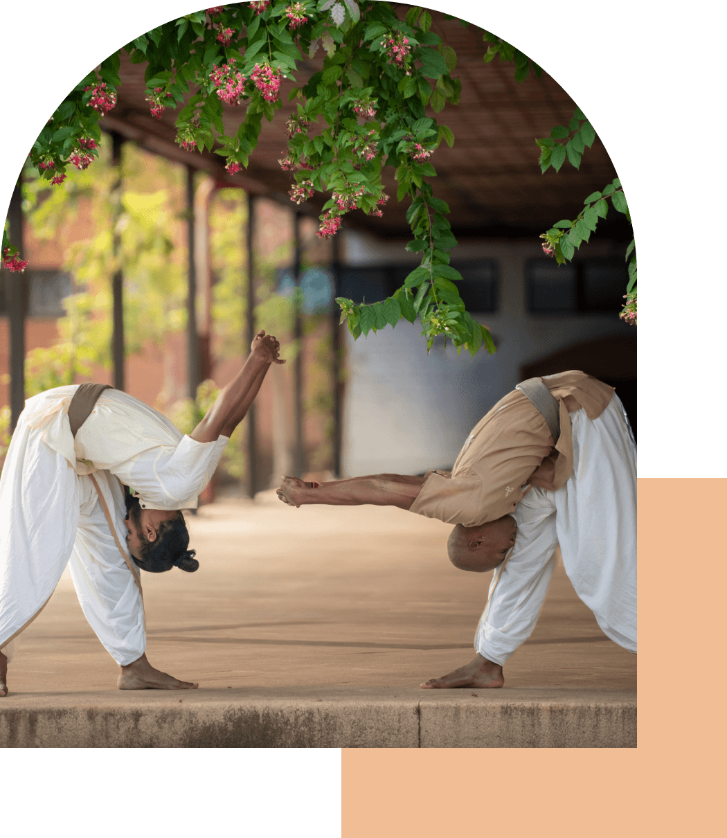 A-Yoga-Sante Yoga Santé tel qu’issu du Hatha Yoga Classique